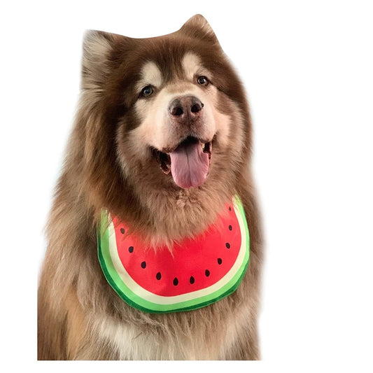 Pet Dog Bib Dog Bandana Cartoon Watermelon