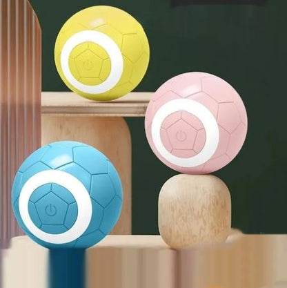 Electric Pet Toy Ball